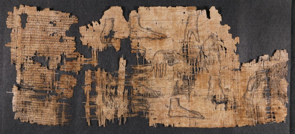 Immagine del Papiro di Artemidoro dopo il restauro